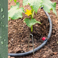 Gronddoekpennen Verzinkt – Set van 50 | Groots®