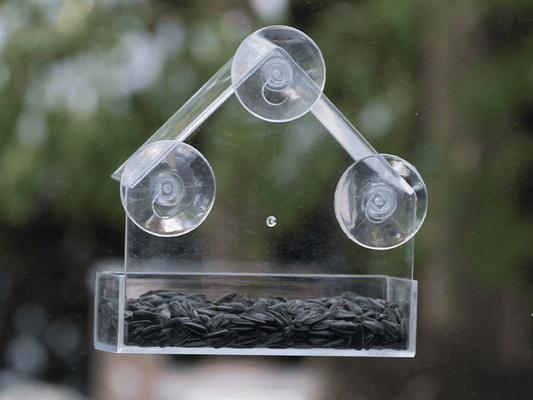 Raamvoederhuisje: Vogels Dichtbij Bekijken in je Eigen Tuin